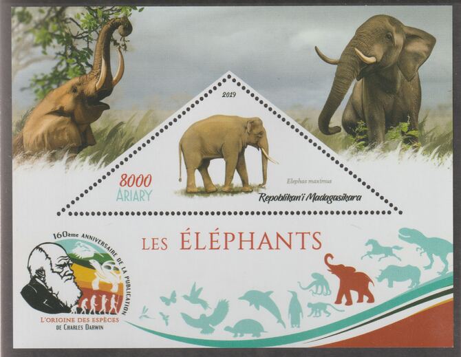 Madagascar 2019 Darwin 160th Anniversary of Publication of The Origin of Species - Elephants #3 perf deluxe sheet containing one triangular value unmounted mint, stamps on triangular, stamps on shaped, stamps on darwin, stamps on animals, stamps on elephants