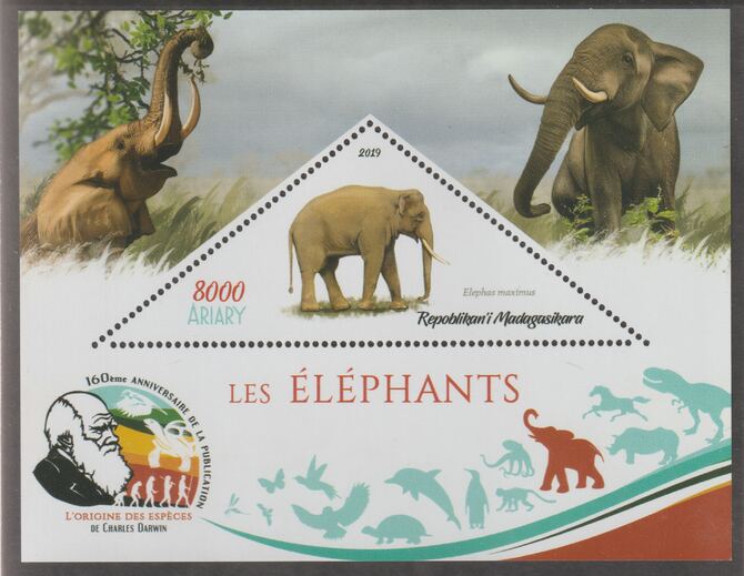 Madagascar 2019 Darwin 160th Anniversary of Publication of The Origin of Species - Elephants #3 perf deluxe sheet containing one triangular value unmounted mint, stamps on , stamps on  stamps on triangular, stamps on  stamps on shaped, stamps on  stamps on darwin, stamps on  stamps on animals, stamps on  stamps on elephants