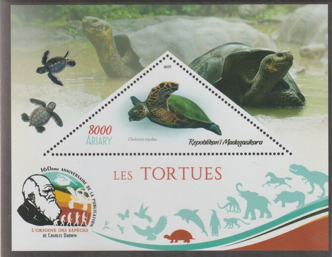Madagascar 2019 Darwin 160th Anniversary of Publication of The Origin of Species - Turtles #1 perf deluxe sheet containing one triangular value unmounted mint, stamps on triangular, stamps on shaped, stamps on darwin, stamps on reptiles, stamps on turtles