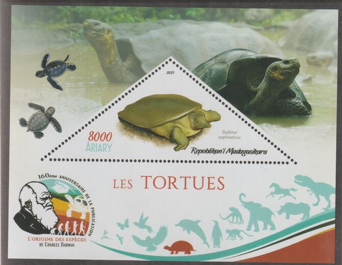 Madagascar 2019 Darwin 160th Anniversary of Publication of The Origin of Species - Turtles #2 perf deluxe sheet containing one triangular value unmounted mint, stamps on , stamps on  stamps on triangular, stamps on  stamps on shaped, stamps on  stamps on darwin, stamps on  stamps on reptiles, stamps on  stamps on turtles