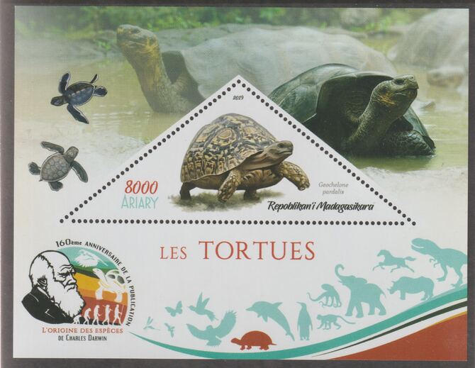 Madagascar 2019 Darwin 160th Anniversary of Publication of The Origin of Species - Turtles #3 perf deluxe sheet containing one triangular value unmounted mint, stamps on , stamps on  stamps on triangular, stamps on  stamps on shaped, stamps on  stamps on darwin, stamps on  stamps on reptiles, stamps on  stamps on turtles