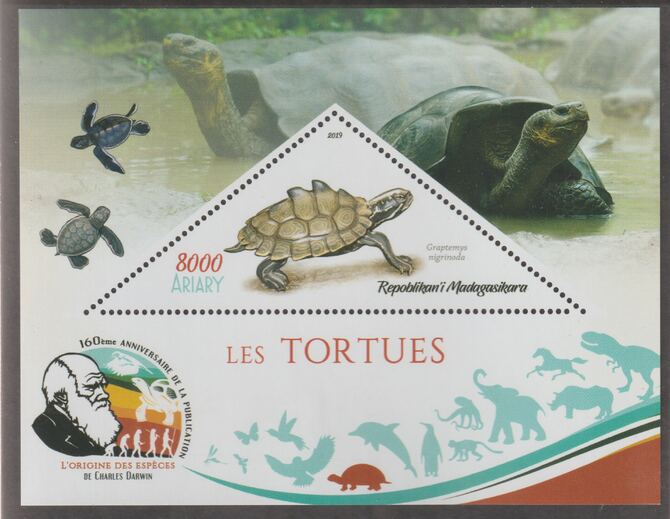Madagascar 2019 Darwin 160th Anniversary of Publication of The Origin of Species - Turtles #4 perf deluxe sheet containing one triangular value unmounted mint, stamps on triangular, stamps on shaped, stamps on darwin, stamps on reptiles, stamps on turtles