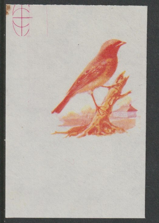 Calf of Man 1973 Birds - Blackbird 20m imperf proof in magenta & yellow only on gummed paper, unmounted mint as Rosen CA261, stamps on birds, stamps on blackbird