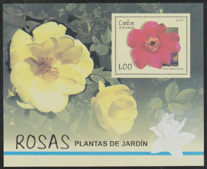 Cuba 2007 Roses imperf m/sheet unmounted mint SG MS5124, stamps on flowers, stamps on roses