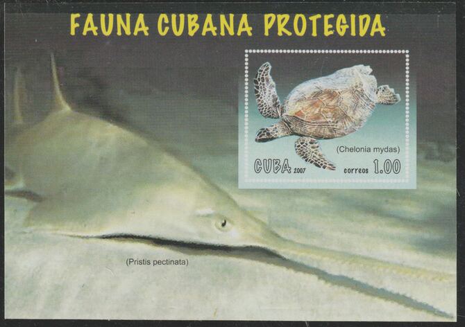 Cuba 2007 Endangered Species imperf m/sheet unmounted mint SG MS5134, stamps on turtles, stamps on 