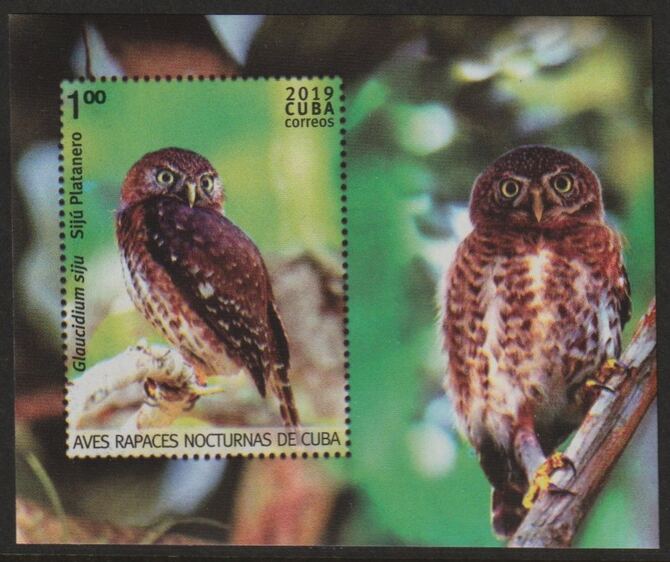 Cuba 2019 Birds of Prey imperf m/sheet unmounted mint , stamps on , stamps on  stamps on birds, stamps on  stamps on birds of prey