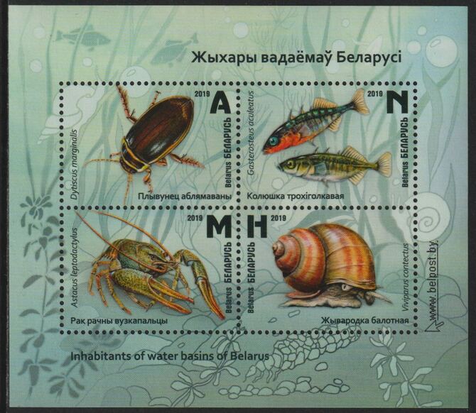 Belarus 2019 Marine Life perf sheetlet containing 4 values unmounted mint , stamps on marine life, stamps on fish, stamps on shells, stamps on crabs