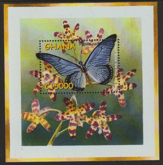 Ghana 2002 Giant Blue Swallowtail Butterfly perf souvenir sheet unmounted mint SG MS3341b, stamps on butterflies