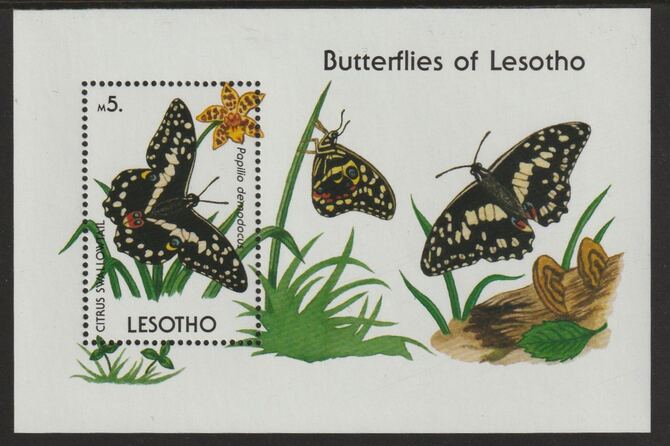 Lesotho 1990 Butterfly perf souvenir sheet unmounted mint SG MS957, stamps on butterflies