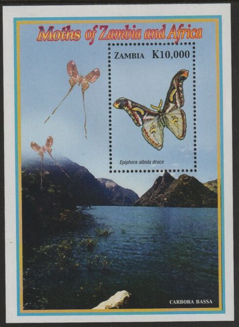 Zambia 2005 Butterfly perf souvenir sheet unmounted mint SG MS963, stamps on butterflies
