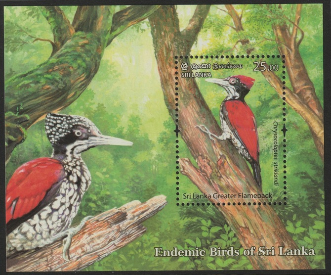 Sri Lanka 2021 Endemic Birds -Great Flameback Woodpecker individual deluxe sheet  unmounted mint, stamps on , stamps on  stamps on birds, stamps on  stamps on woodpeckers
