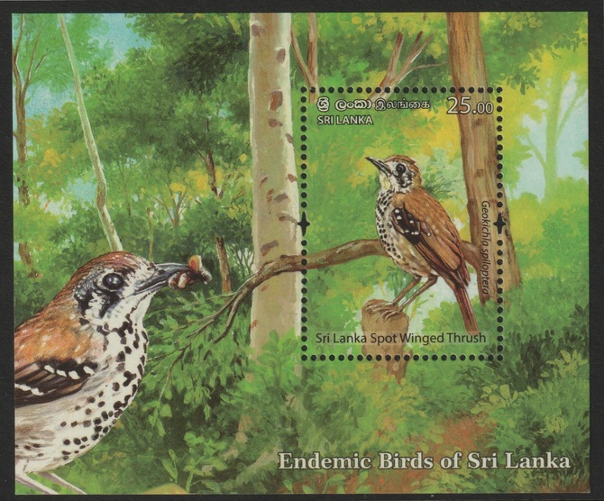 Sri Lanka 2021 Endemic Birds -Spot Winged Thrush individual deluxe sheet  unmounted mint, stamps on birds, stamps on thrush