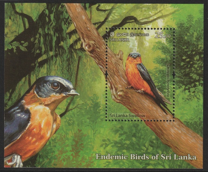Sri Lanka 2021 Endemic Birds - Swallow individual deluxe sheet  unmounted mint, stamps on , stamps on  stamps on birds, stamps on  stamps on swallow