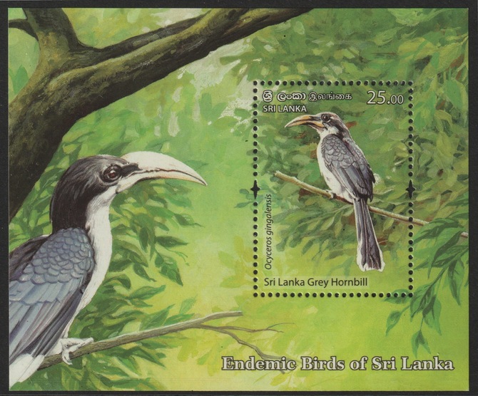 Sri Lanka 2021 Endemic Birds - grey hornbill individual deluxe sheet  unmounted mint, stamps on birds, stamps on hornbills