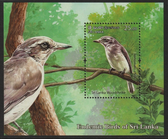 Sri Lanka 2021 Endemic Birds - woodshrike individual deluxe sheet  unmounted mint, stamps on birds, stamps on shrike