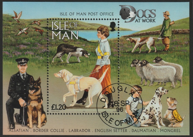 Isle of Man 1996 Dogs at Work m/sheet fine cds used, SG MS725, stamps on , stamps on  stamps on dogs, stamps on  stamps on police, stamps on  stamps on german shepherd, stamps on  stamps on  gsd , stamps on  stamps on disabled, stamps on  stamps on guide dogs, stamps on  stamps on hunting, stamps on  stamps on sheep, stamps on  stamps on ovine, stamps on  stamps on border collie, stamps on  stamps on labrador, stamps on  stamps on dalmatian, stamps on  stamps on english setter