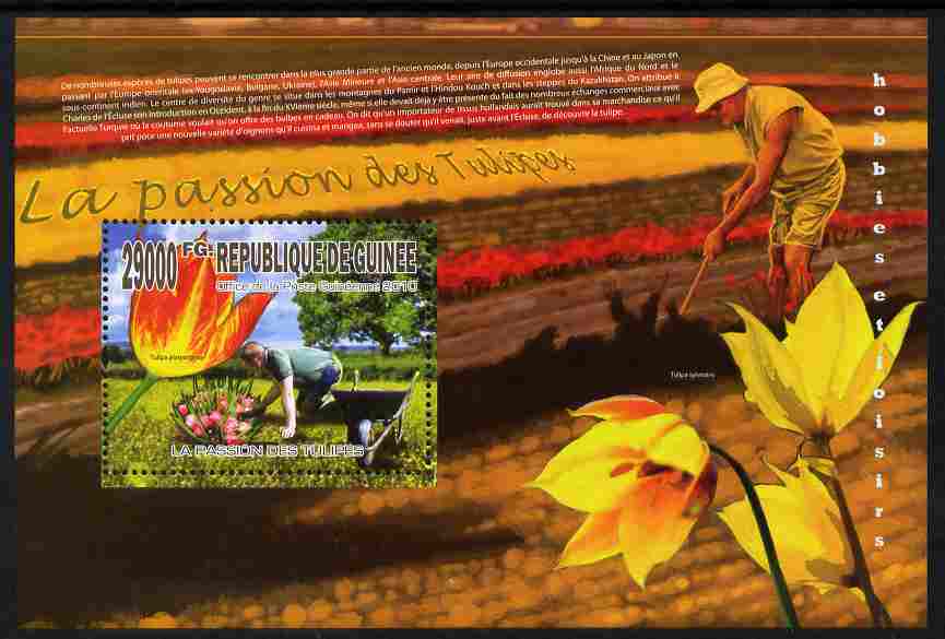 Guinea - Conakry 2010 The Passion of Tulips perf m/sheet unmounted mint , stamps on flowers, stamps on tulips
