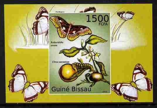 Guinea - Bissau 2010 Butterflies #09 individual imperf deluxe sheet unmounted mint. Note this item is privately produced and is offered purely on its thematic appeal , stamps on butterflies