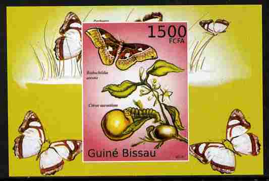 Guinea - Bissau 2010 Butterflies #10 individual imperf deluxe sheet unmounted mint. Note this item is privately produced and is offered purely on its thematic appeal , stamps on , stamps on  stamps on butterflies