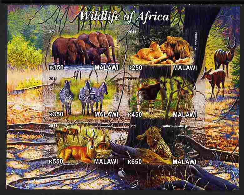 Malawi 2011 Wildlife of Africa #1 imperf sheetlet containing 6 values unmounted mint, stamps on , stamps on  stamps on animals, stamps on  stamps on elephants, stamps on  stamps on lions, stamps on  stamps on zebra, stamps on  stamps on leopard