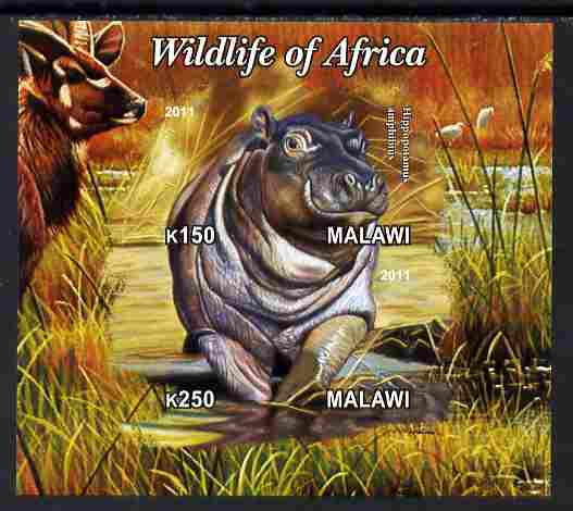 Malawi 2011 Wildlife of Africa #3 - Hippos composite imperf sheetlet containing 2 values unmounted mint, stamps on , stamps on  stamps on animals, stamps on  stamps on hippos