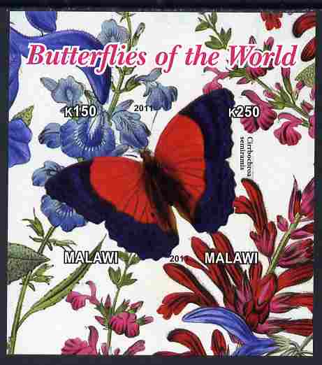 Malawi 2011 Butterflies of the World #5 imperf sheetlet containing 2 values unmounted mint, stamps on , stamps on  stamps on butterflies