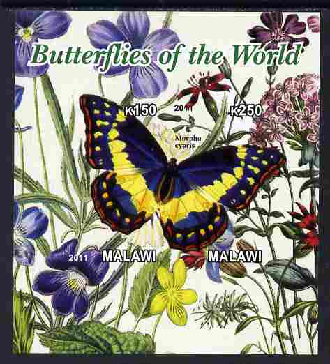 Malawi 2011 Butterflies of the World #6 imperf sheetlet containing 2 values unmounted mint, stamps on , stamps on  stamps on butterflies