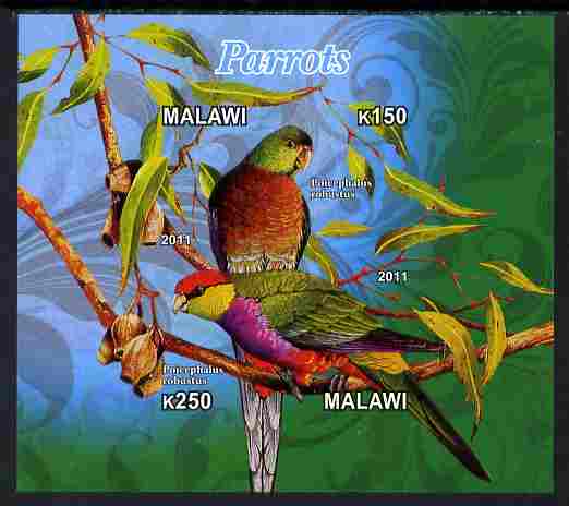 Malawi 2011 Parrots #3 imperf sheetlet containing 2 values unmounted mint, stamps on , stamps on  stamps on birds, stamps on  stamps on parrots