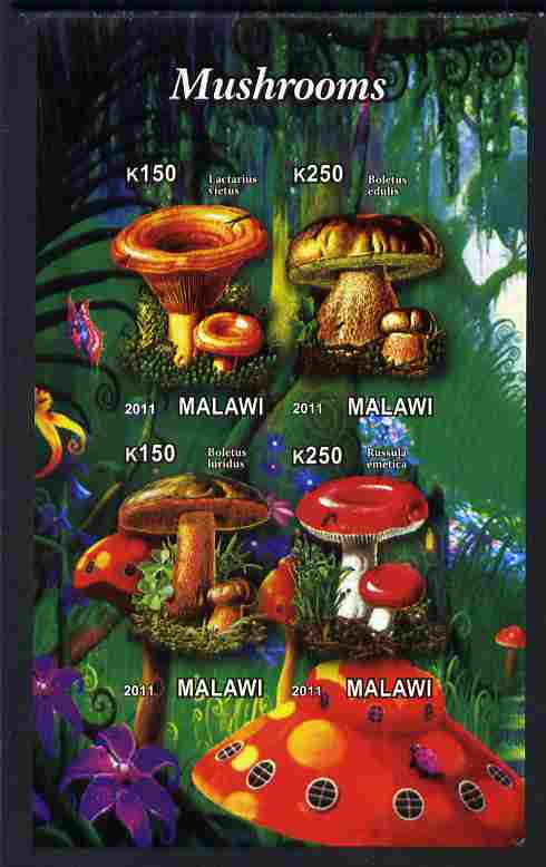 Malawi 2011 Mushrooms #1 imperf sheetlet containing 4 values unmounted mint, stamps on , stamps on  stamps on fungi