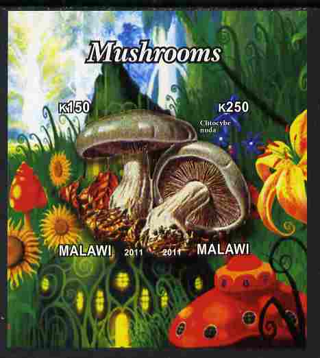 Malawi 2011 Mushrooms #2 imperf sheetlet containing 2 values unmounted mint, stamps on , stamps on  stamps on fungi