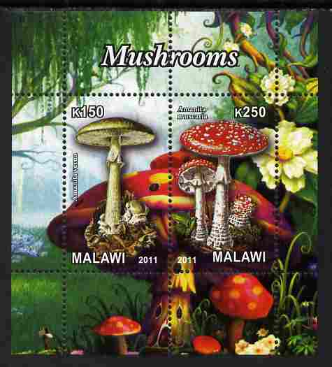 Malawi 2011 Mushrooms #3 perf sheetlet containing 2 values unmounted mint, stamps on , stamps on  stamps on fungi