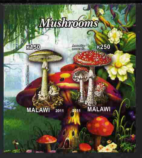 Malawi 2011 Mushrooms #3 imperf sheetlet containing 2 values unmounted mint, stamps on , stamps on  stamps on fungi