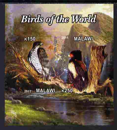 Malawi 2011 Birds of the World #1 imperf sheetlet containing 2 values unmounted mint, stamps on birds, stamps on birds of prey