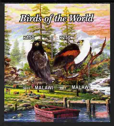 Malawi 2011 Birds of the World #2 imperf sheetlet containing 2 values unmounted mint, stamps on birds, stamps on birds of prey