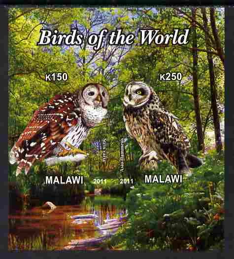 Malawi 2011 Birds of the World #3 - Owls imperf sheetlet containing 2 values unmounted mint, stamps on , stamps on  stamps on birds, stamps on  stamps on birds of prey, stamps on  stamps on owls