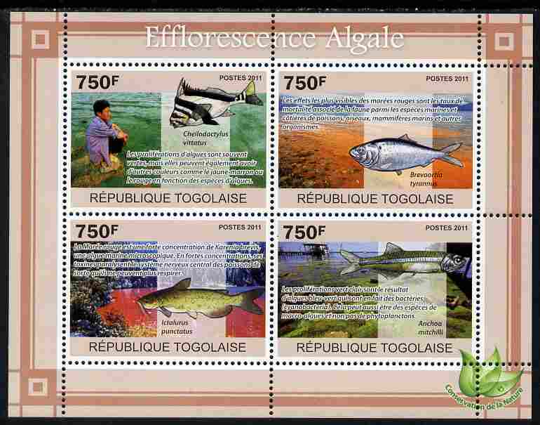 Togo 2011 Environment - Algal Blooms - Fish perf sheetlet containing 4 values unmounted mint, stamps on environment, stamps on fish