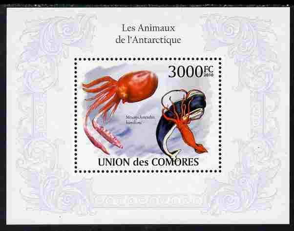 Comoro Islands 2010 Antarctic Animals perf s/sheet unmounted mint, Michel BL 578, stamps on , stamps on  stamps on polar, stamps on  stamps on animals, stamps on  stamps on whales, stamps on  stamps on marine life, stamps on  stamps on octopus