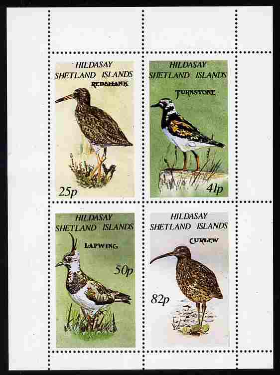 Shetland Islands 1995 Birds perf set of 4 unmounted mint, stamps on , stamps on  stamps on birds, stamps on  stamps on redshank, stamps on  stamps on turnstone, stamps on  stamps on curlew, stamps on  stamps on lapwing