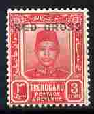 Malaya - Trengganu 1917-18 Red Cross Surcharge 3c plus 2c carmine-red unmounted mint SG 19, stamps on , stamps on  kg5 , stamps on red cross