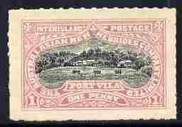 New Hebrides - English 1896 1d pink & black local issue inscribed 'The Australasian New Hebrides Company Ltd' unused without gum, stamps on , stamps on  stamps on new hebrides - english 1896 1d pink & black local issue inscribed 'the australasian new hebrides company ltd' unused without gum