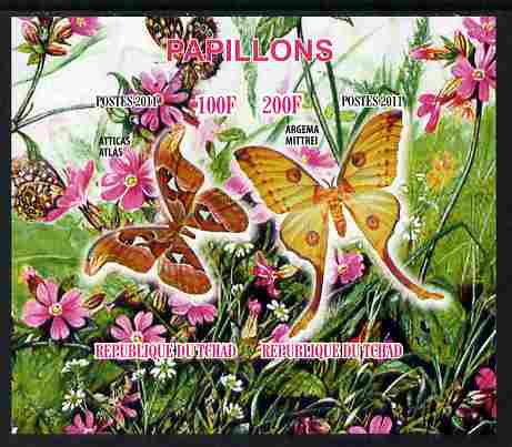 Chad 2011 Butterflies #1 imperf sheetlet containing 2 values unmounted mint, stamps on , stamps on  stamps on butterflies