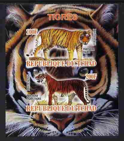 Chad 2011 Tigers imperf sheetlet containing 2 values unmounted mint, stamps on , stamps on  stamps on animals, stamps on  stamps on cats, stamps on  stamps on tigers