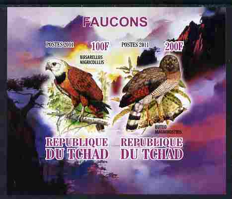 Chad 2011 Birds of Prey imperf sheetlet containing 2 values unmounted mint, stamps on birds, stamps on birds of prey