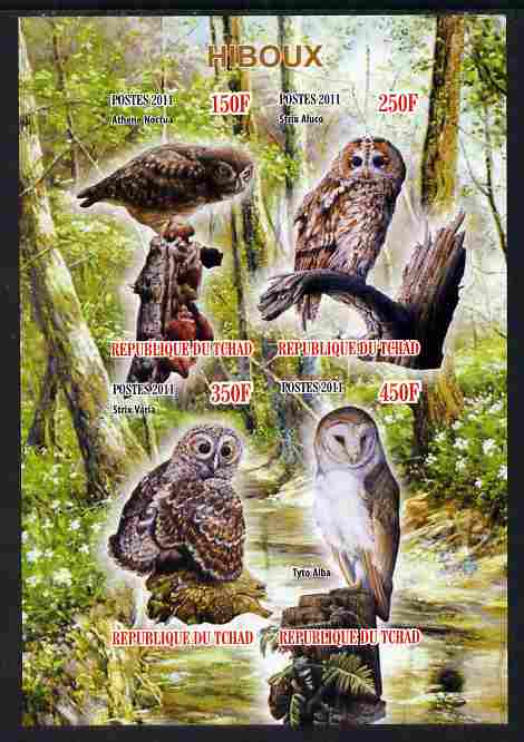 Chad 2011 Owls imperf sheetlet containing 4 values unmounted mint, stamps on , stamps on  stamps on birds, stamps on  stamps on birds of prey, stamps on  stamps on owls