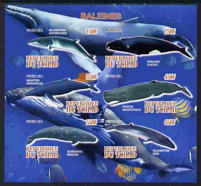 Chad 2011 Whales imperf sheetlet containing 6 values unmounted mint, stamps on marine life, stamps on whales, stamps on dolphins
