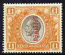 Kenya, Uganda & Tanganyika 1922-27 KG5 Â£1 black & orange Script CA overprinted SPECIMEN fresh with gum and well centred SG 95s (only about 400 produced), stamps on , stamps on  kg5 , stamps on specimen