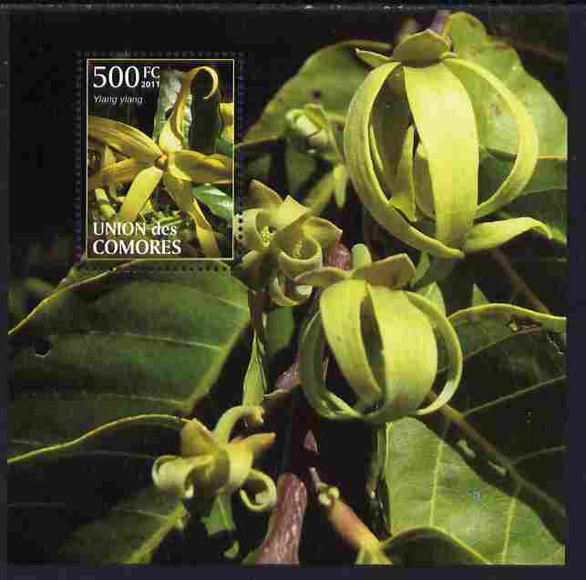 Comoro Islands 2011 Plants perf m/sheet (Ylang Ylang) unmounted mint , stamps on , stamps on  stamps on plants, stamps on  stamps on flowers, stamps on  stamps on 