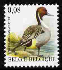 Belgium 2010-14 Birds - Northern Pintail 0.08 Euro unmounted mint, , stamps on , stamps on  stamps on birds, stamps on  stamps on ducks