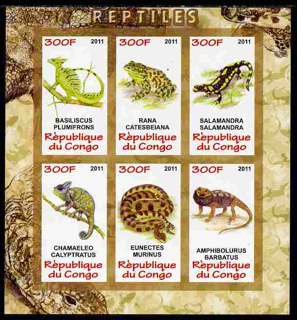 Congo 2011 Reptiles imperf sheetlet containing 6 values unmounted mint, stamps on , stamps on  stamps on reptiles, stamps on  stamps on lizards, stamps on  stamps on frogs, stamps on  stamps on snakes, stamps on  stamps on chameleons