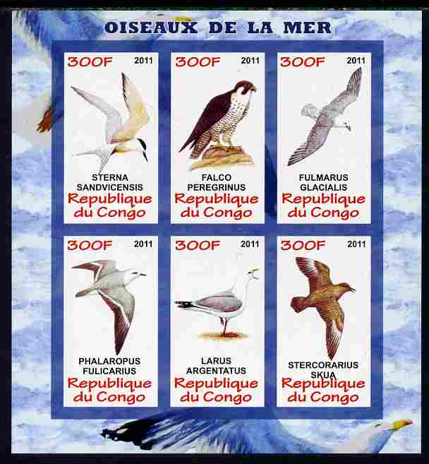 Congo 2011 Sea Birds imperf sheetlet containing 6 values unmounted mint, stamps on birds, stamps on birds of prey, stamps on gulls